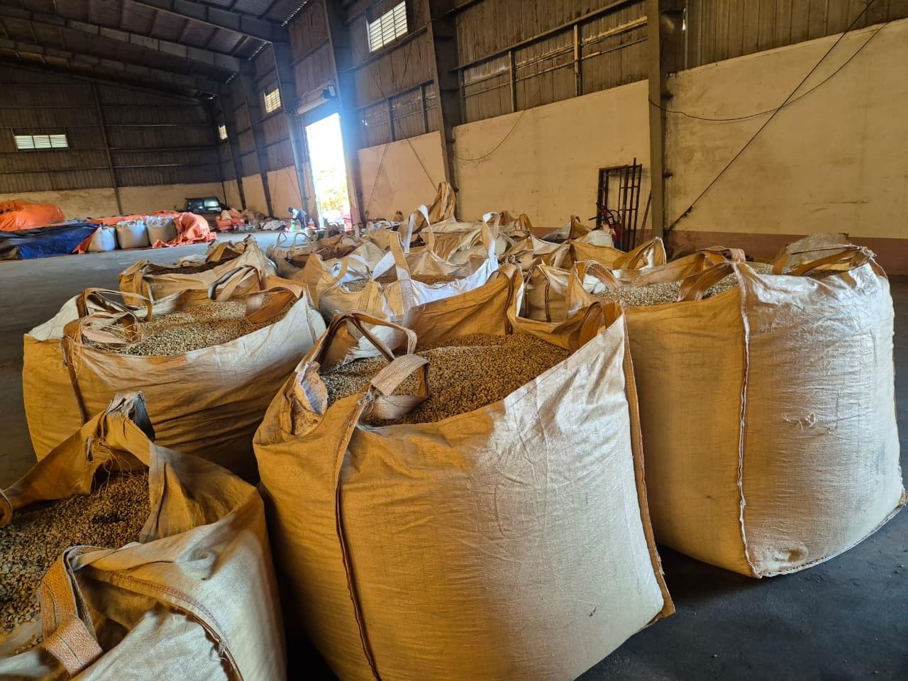 Quality coffee beans